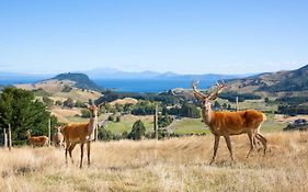 Hilltop Whakaipo Estate